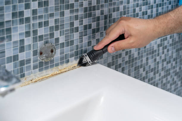 Best Residential Mold Remediation in Fairmont City, IL
